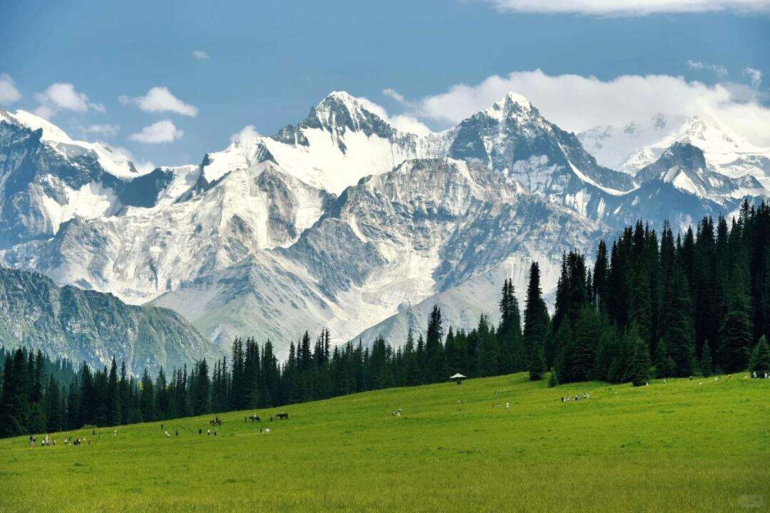 00000000WIJBpLVpqAmQVaVn