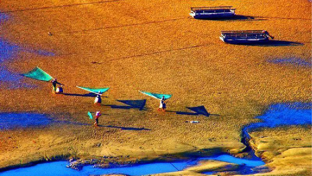 00000000WjrAnNwCElSNQMTf