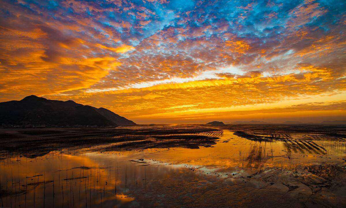 00000000XbeuJPzNHLDGnBSF