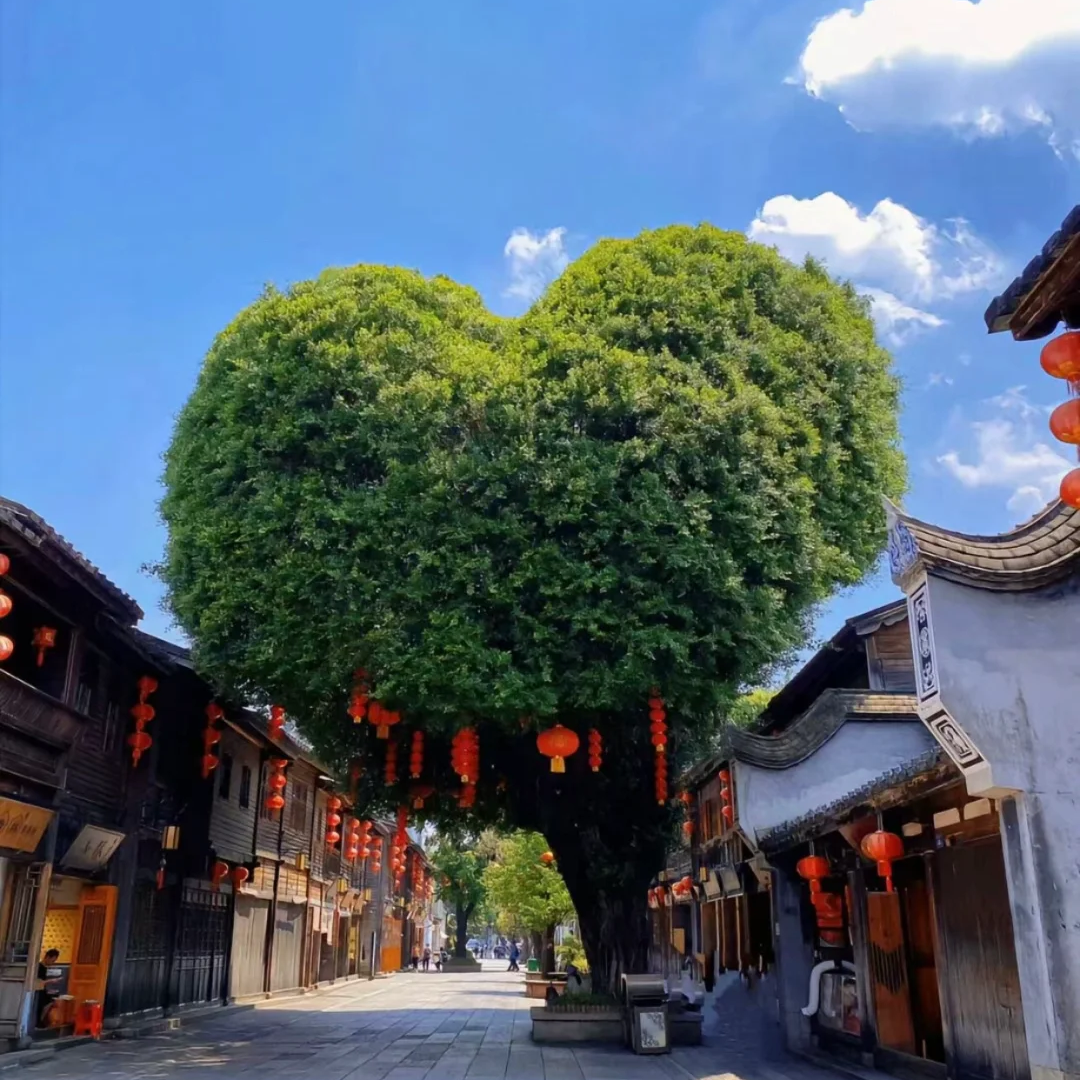 00000000XxWvCDBDkkcXCLkr