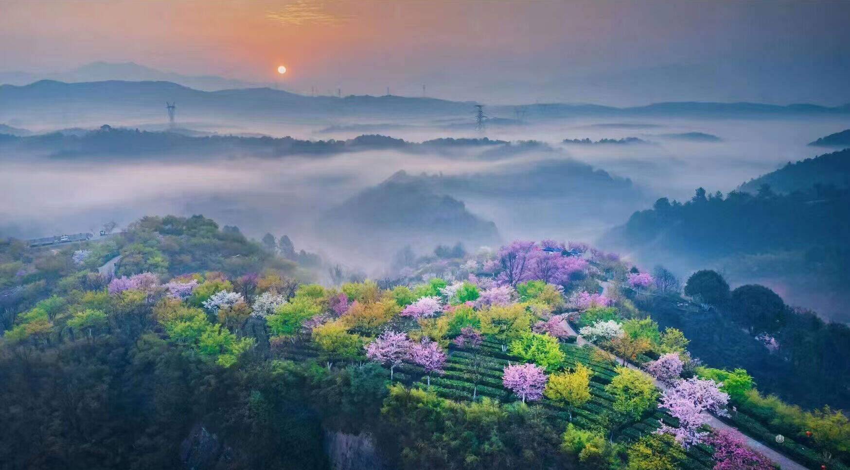 00000000YWFaGVkTbXMHZLCp