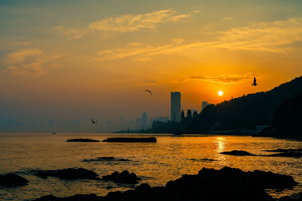 00000000ZFJnOqvobhvpwvQN