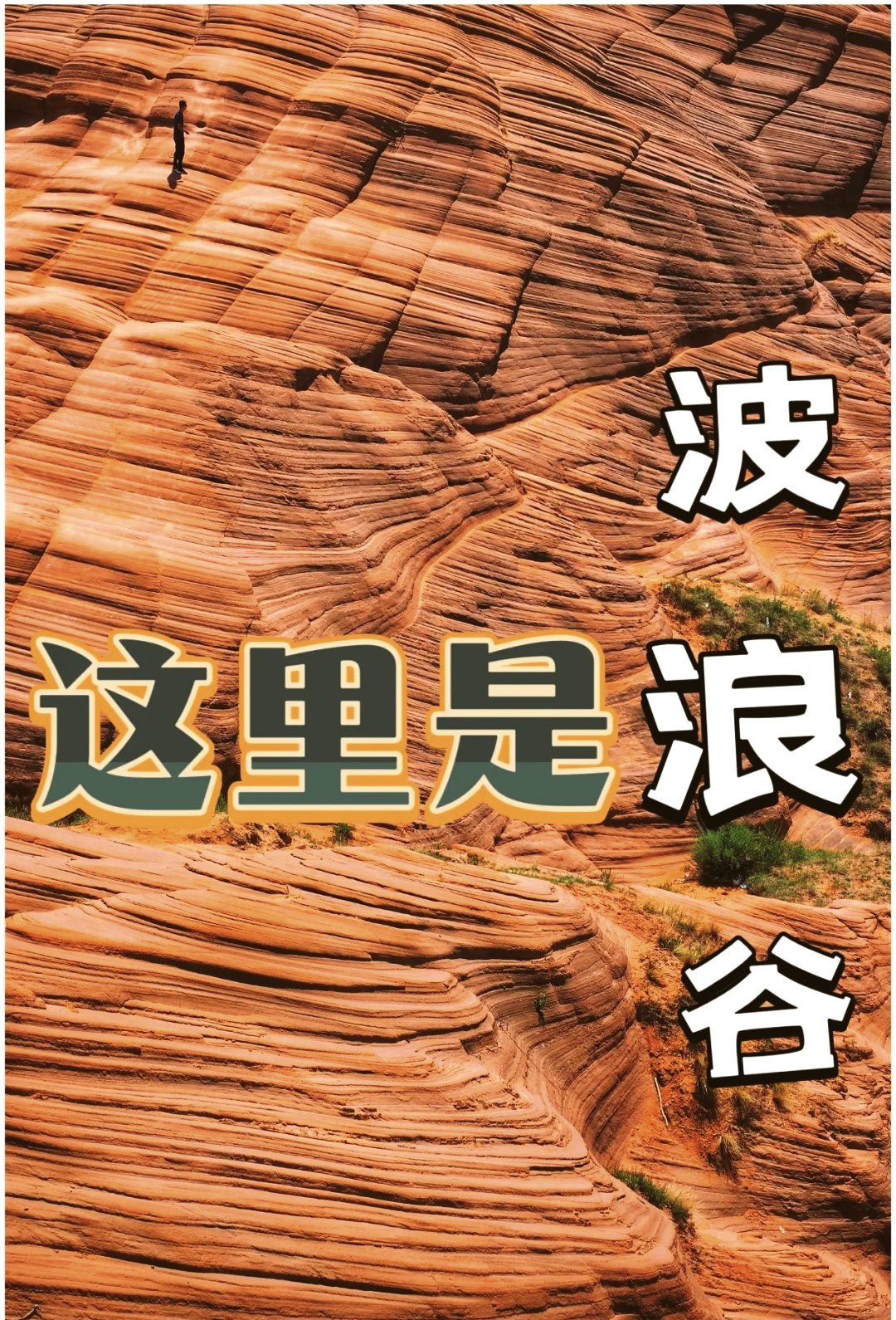 00000000ZWIAvVHFDfbbczoA