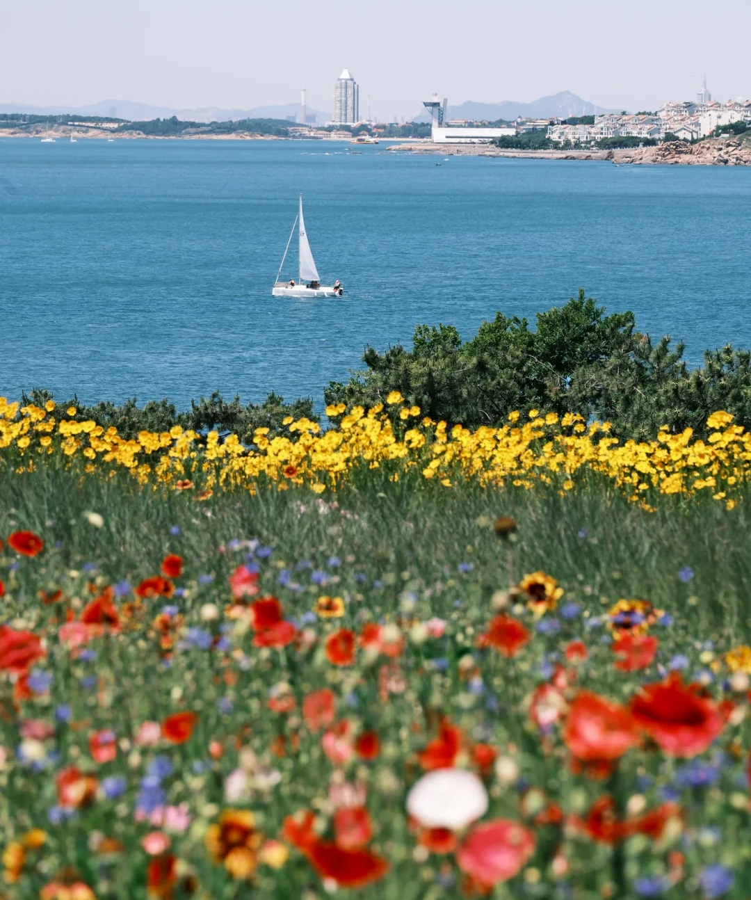 00000000ZjIqgKZFxezaQuCp