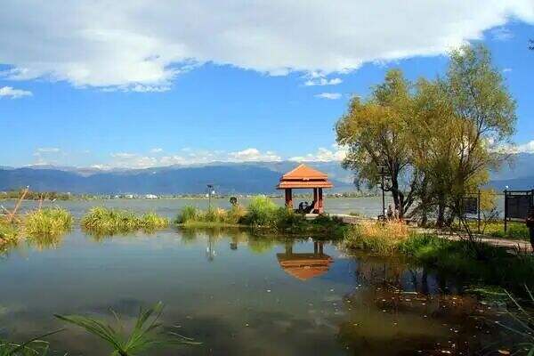 00000000ZlkkoGyJuoVnajga