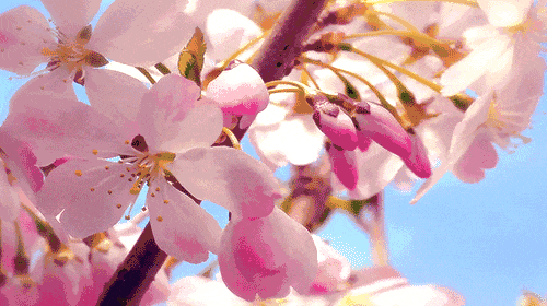 00000000ZpuROYHuigapETyg