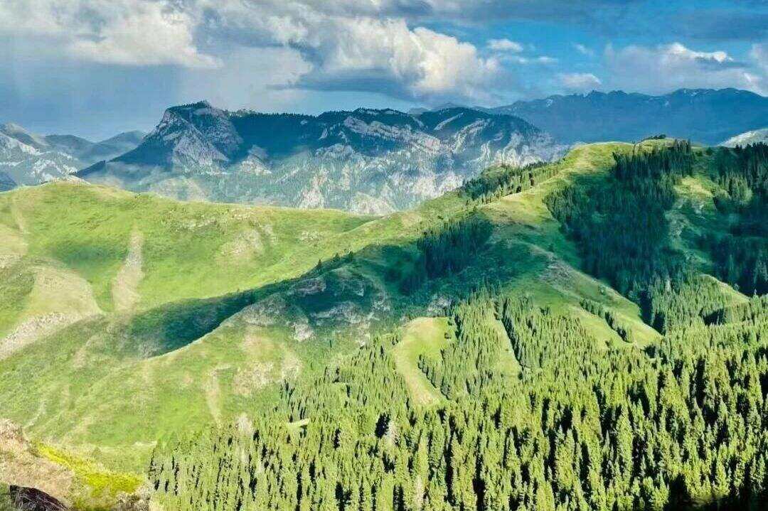 00000000aWOoIpvQePUXnlaW