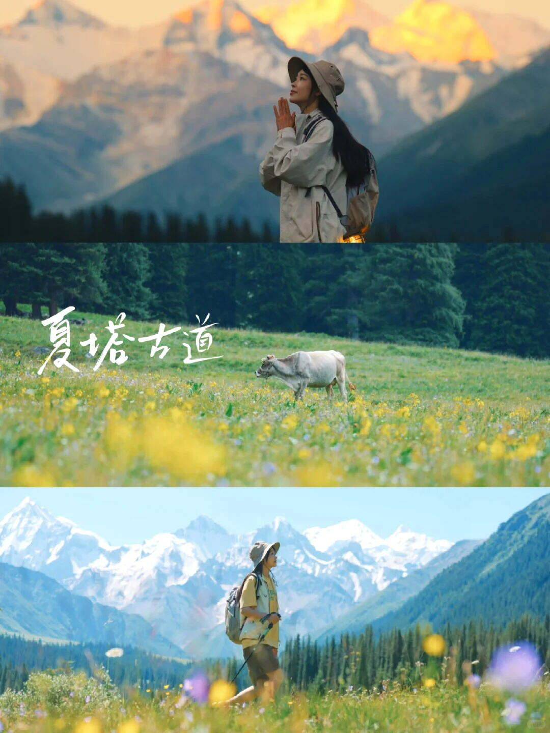 00000000bTaHFHnvscUSobrI