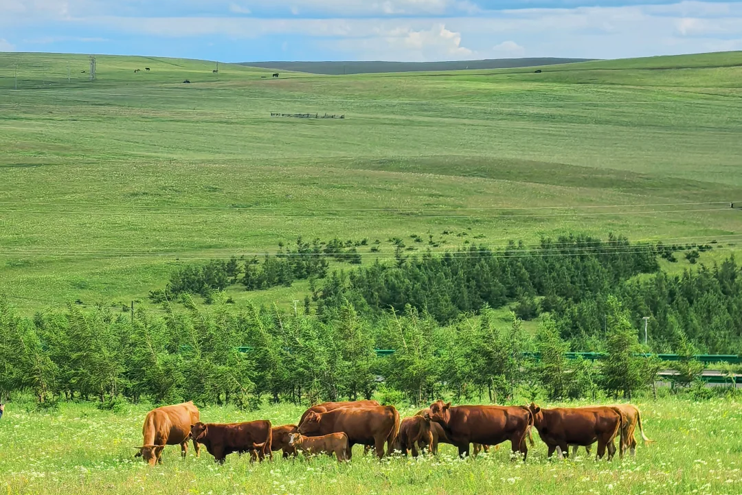 00000000bnjzHrfhZhSOIlrQ