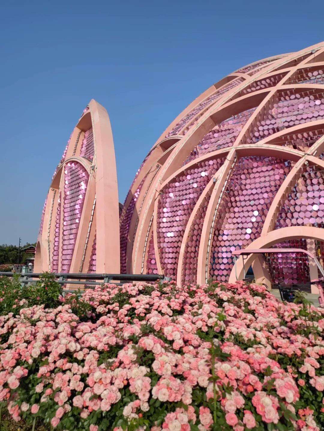 00000000cZtymROBVdaaTZSS