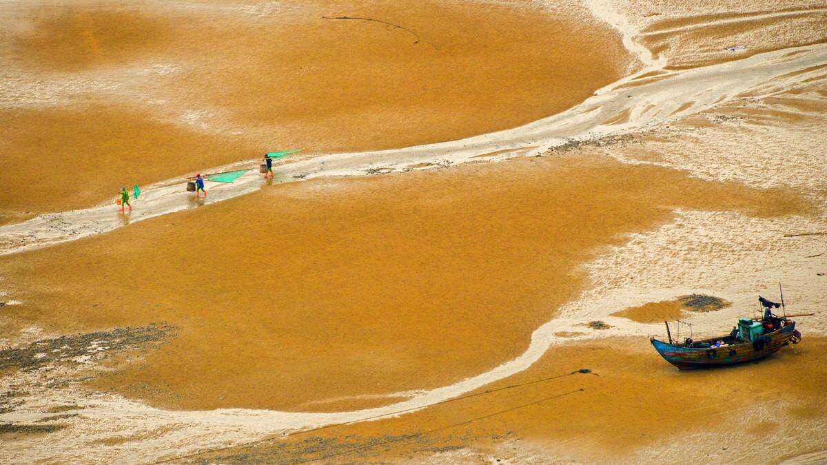 00000000ctFYOUZCxVtEpuvS