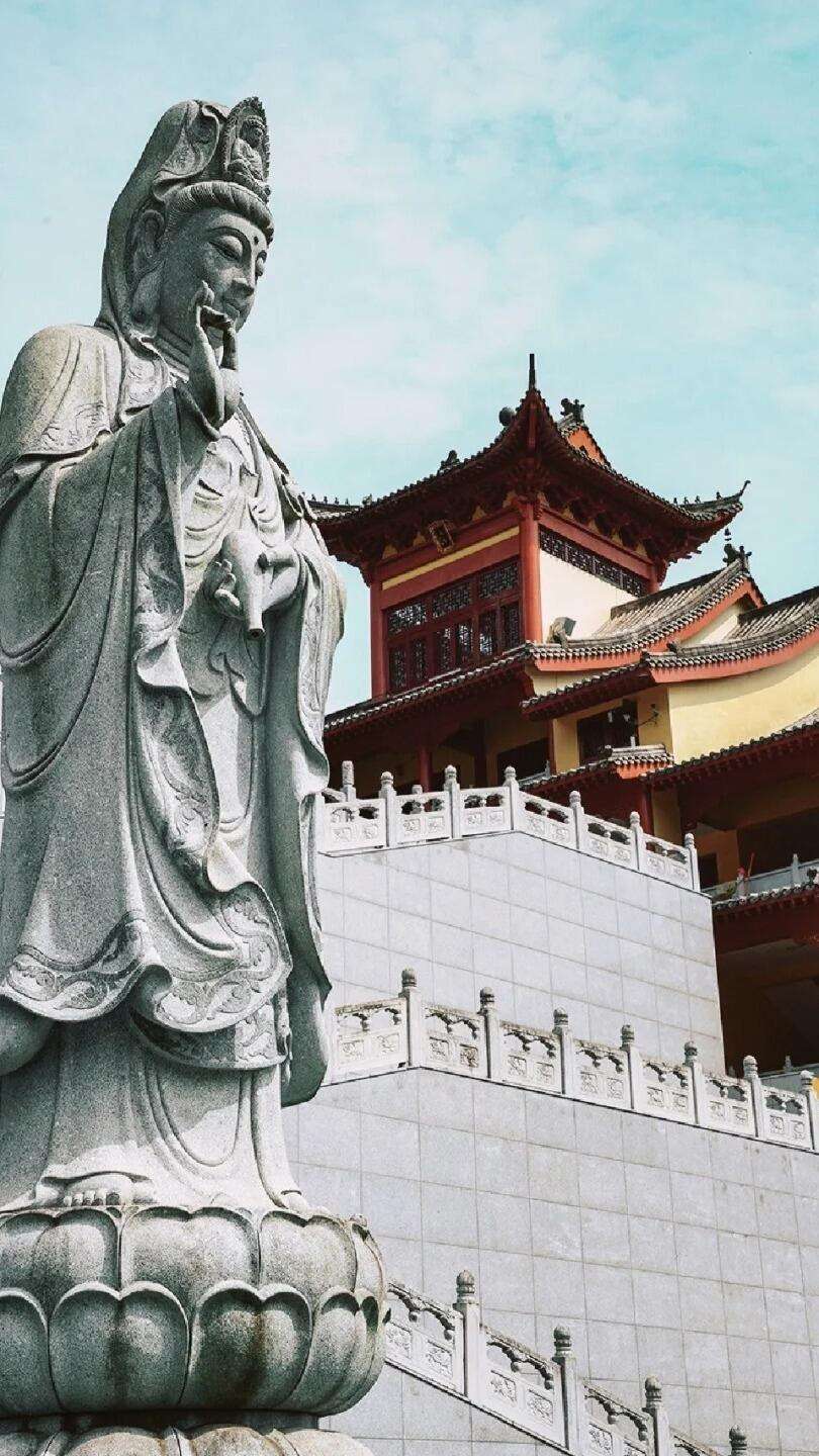 00000000czXJDuQqmrknNqRT