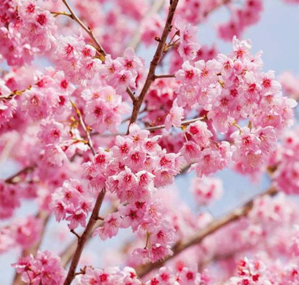 00000000dxtrHWXjhnLOOCFk