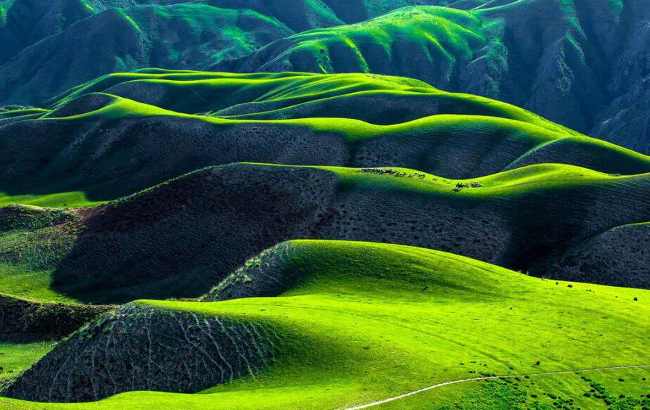 00000000eDPCdYoVjPwLdGbC