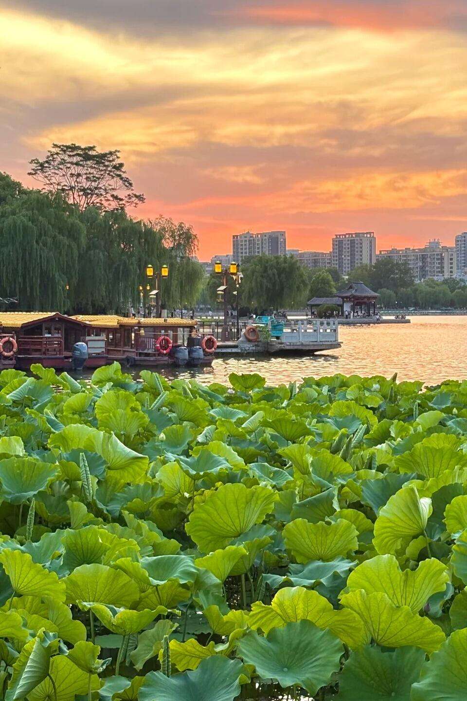 00000000gJLkJtyQMaFxOEFk