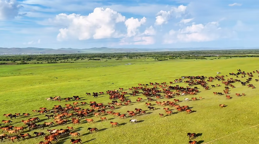 00000000geSTDYqpQIMnIZfj