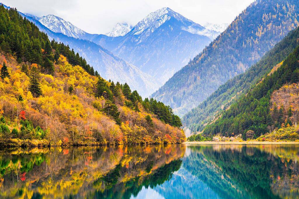 00000000gfLAjDKvyVVRpvds