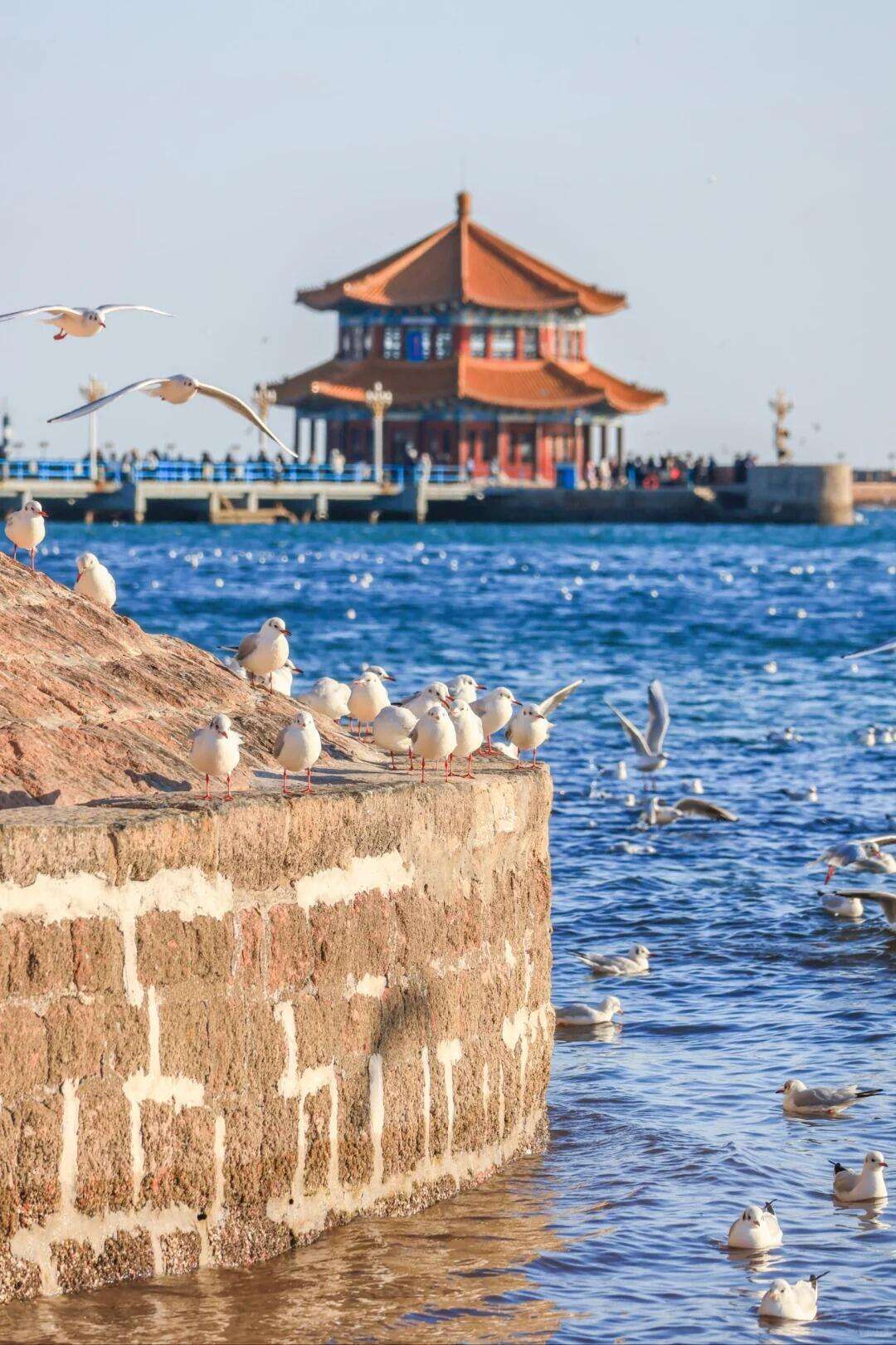 00000000iUVJWnSTIAzkuPRO