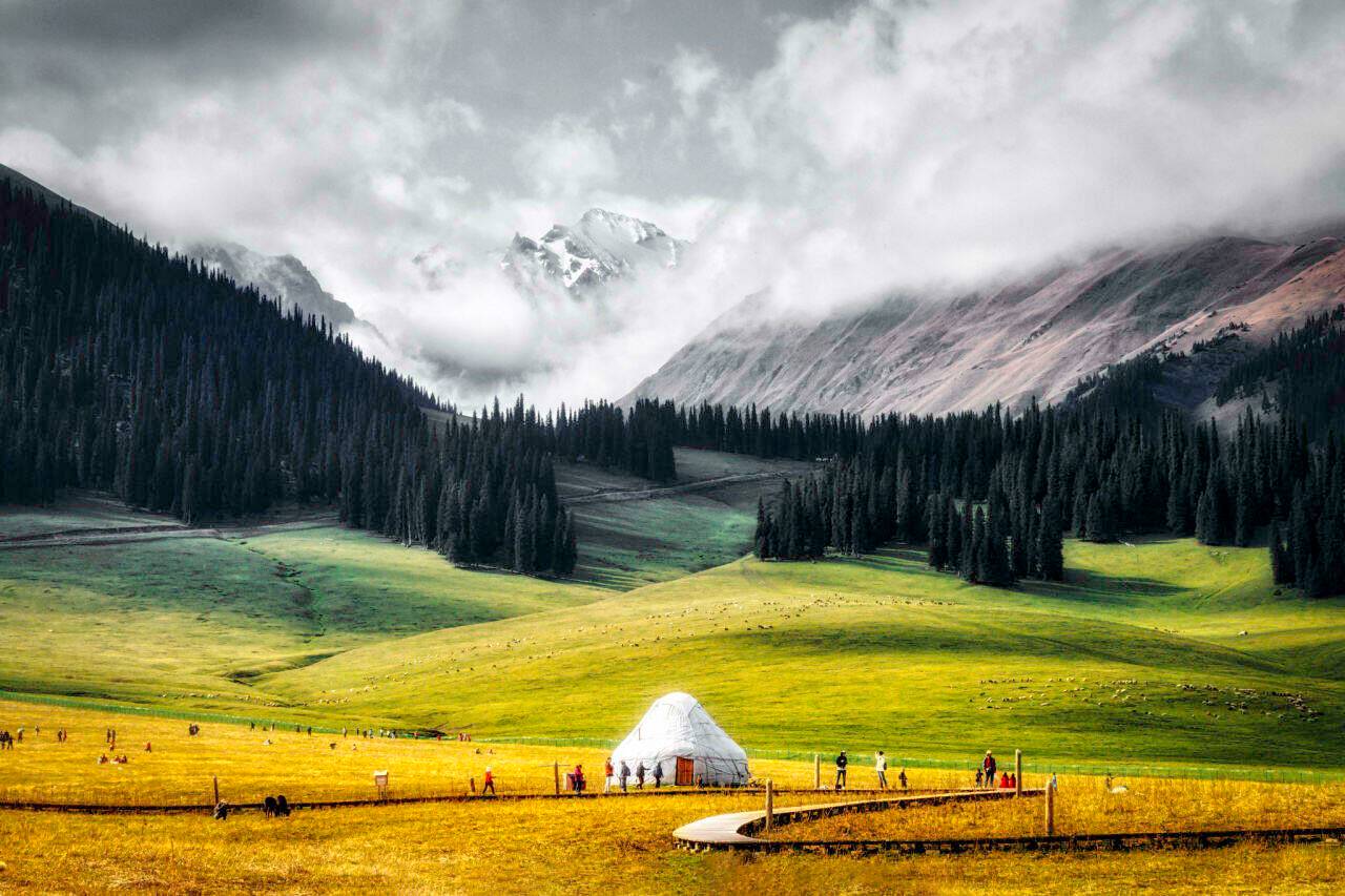 00000000ieLUSavGVVOlWwmt