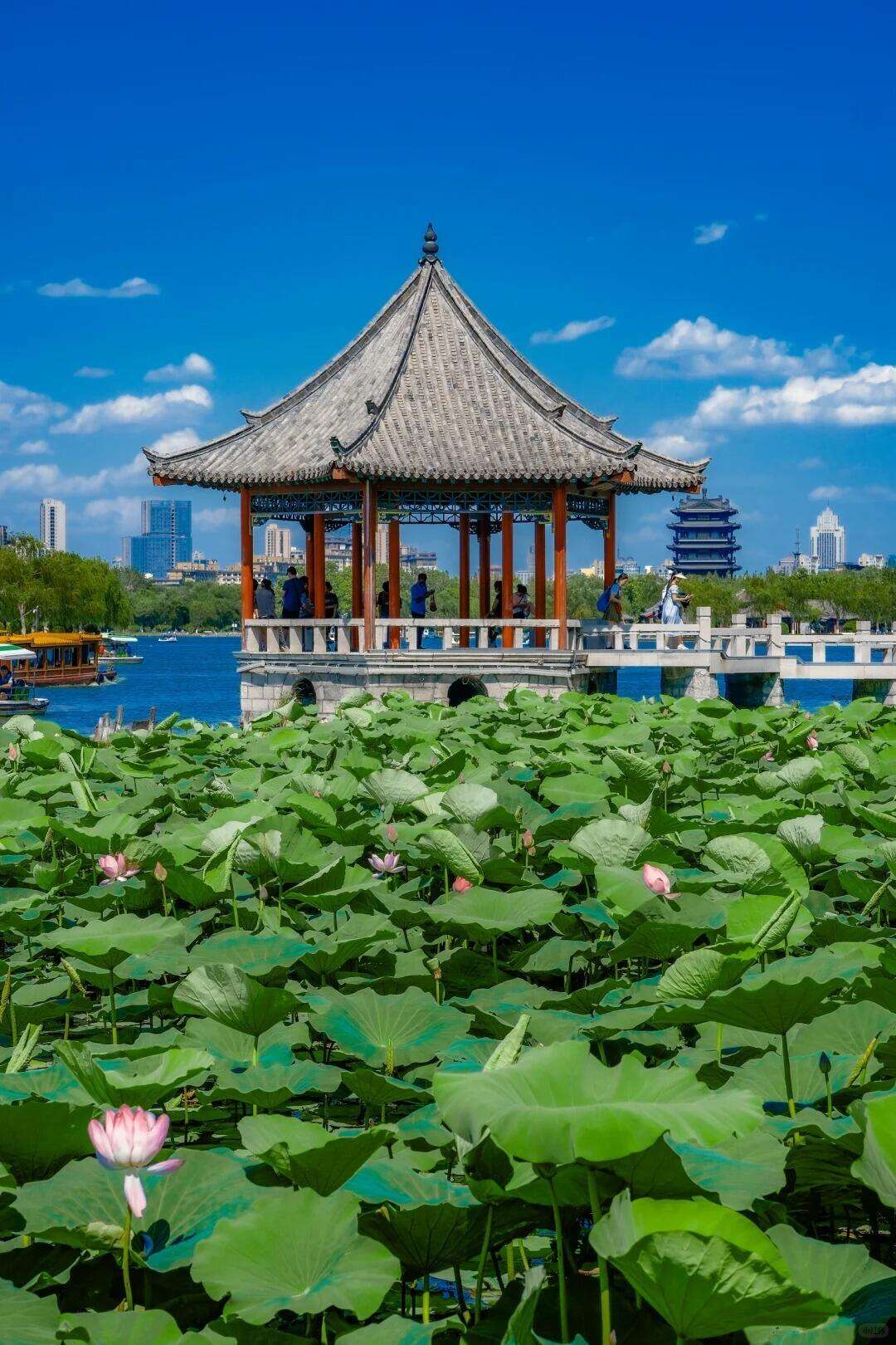 00000000jHzTCoYQCHecAKGJ