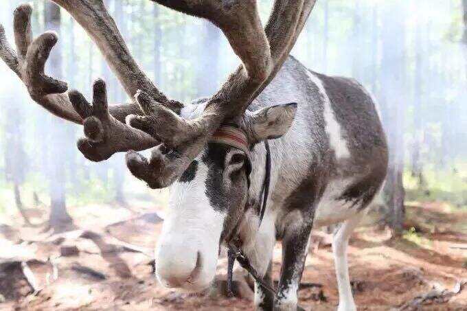 00000000jXftPpwxAolVYTJA