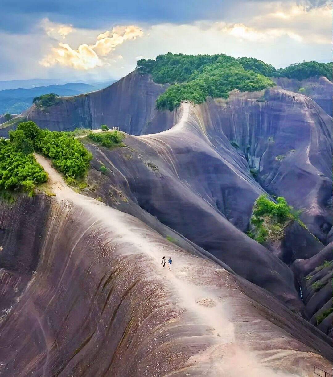 00000000jrCCLfhaStHEgqjE