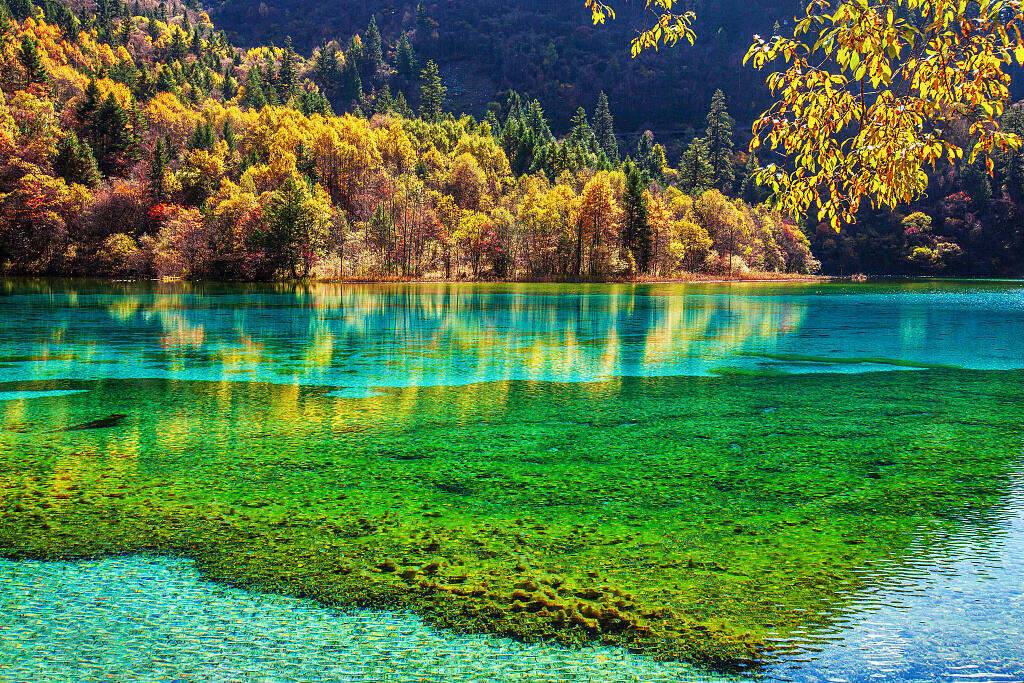 00000000kDkoKLYbOjqiqKdm