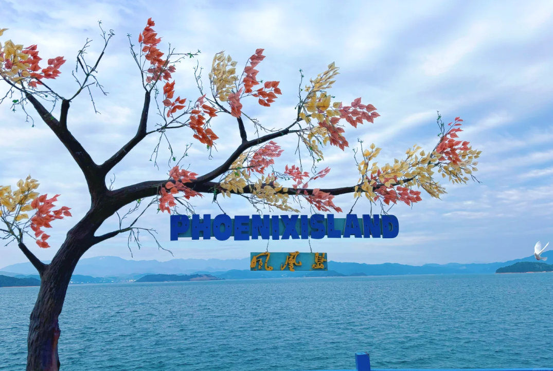 00000000mVIhgzzuEAuvQGDo