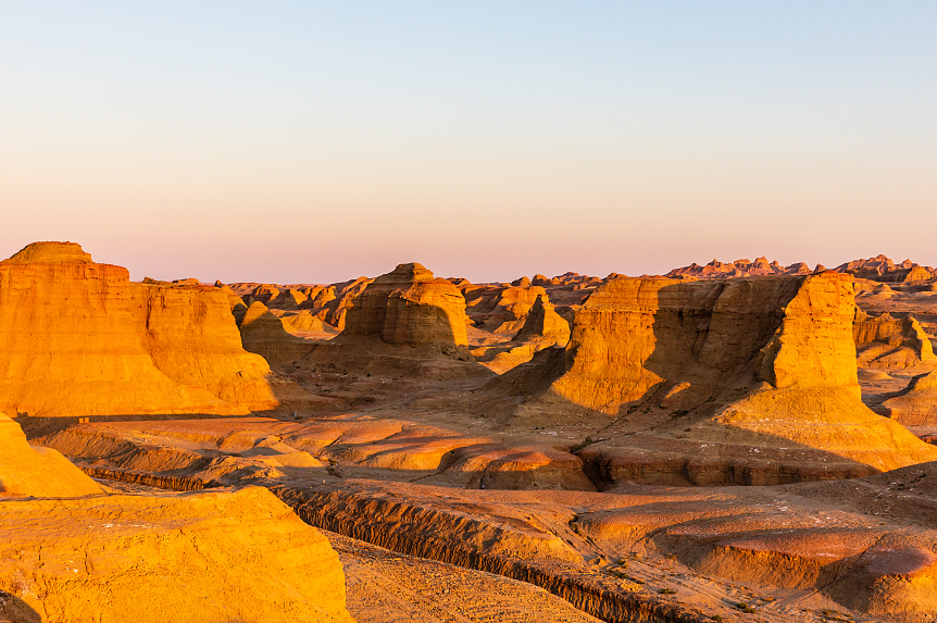 00000000nWFMcgbISQazwTKm