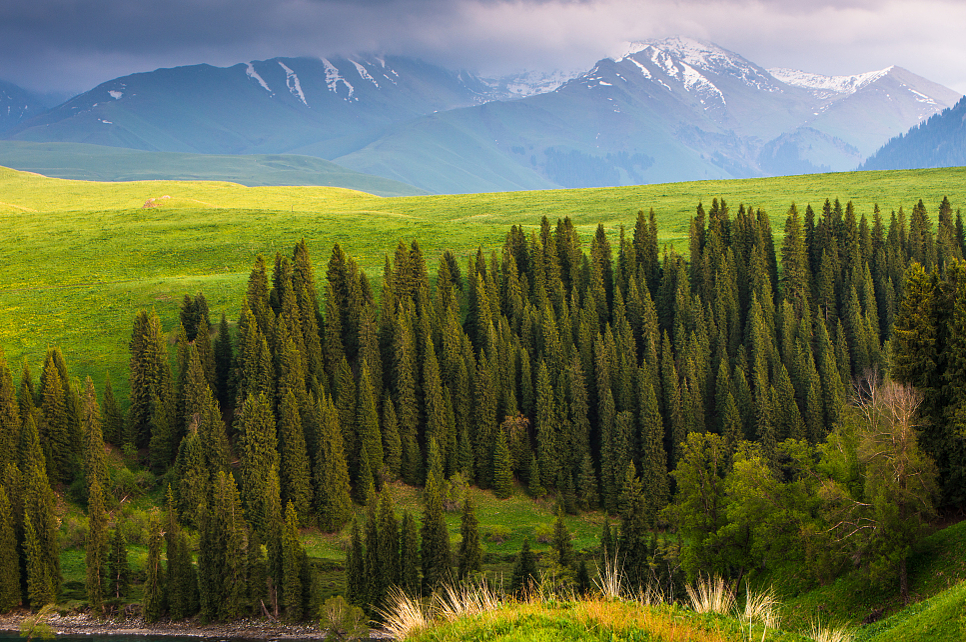 00000000ohGNSNPjJgfbIvku