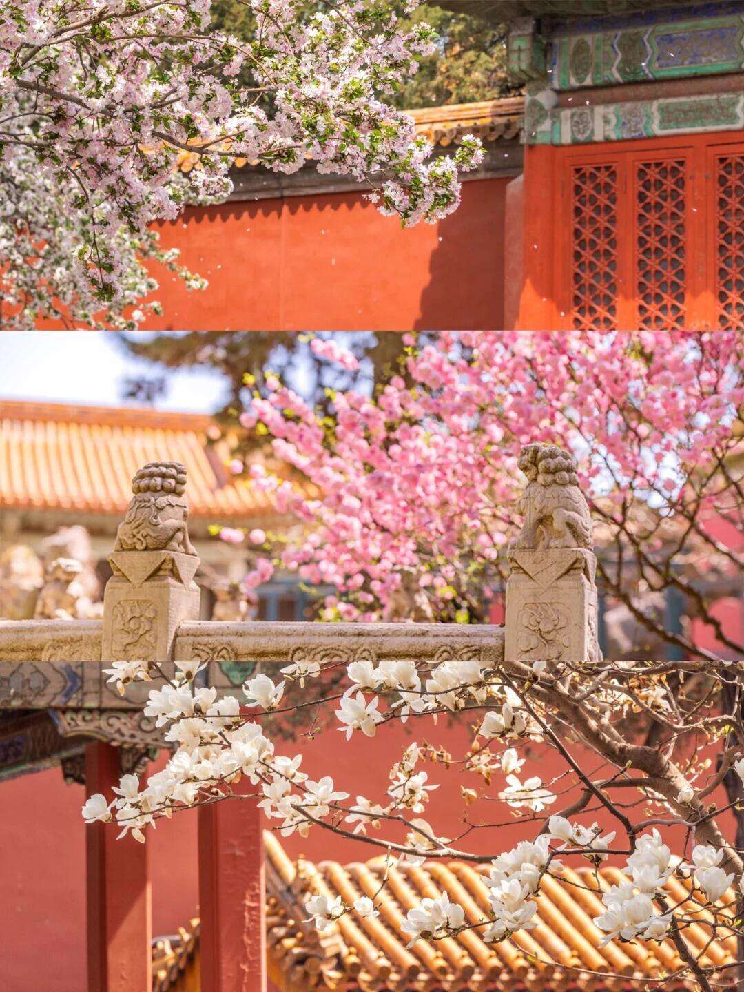 00000000pduedtvFPzxCdWBU