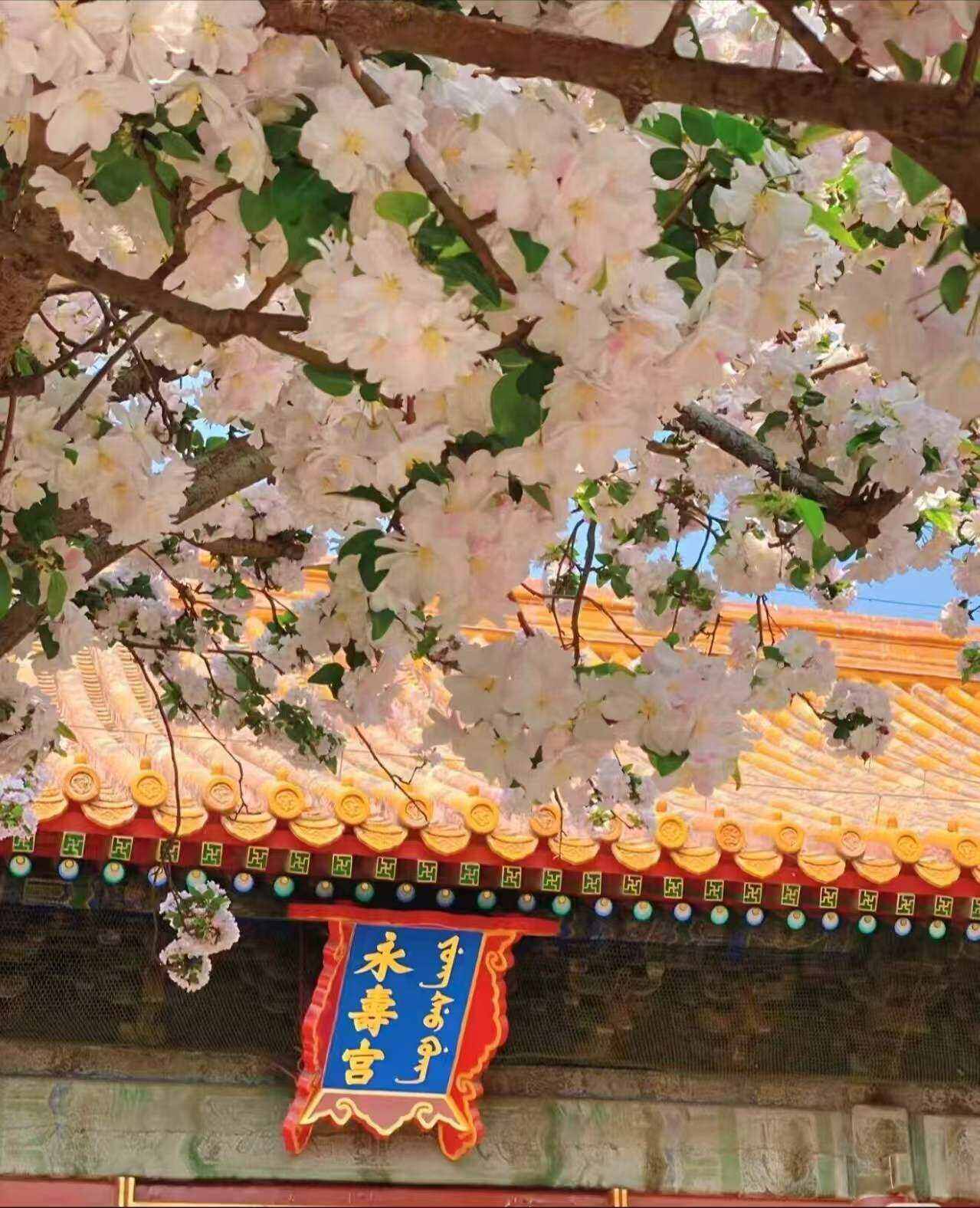 00000000qZjBhgrbYedxyCxR