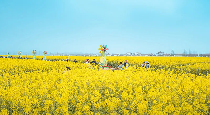 00000000qckEDfbCxXHmmfBb