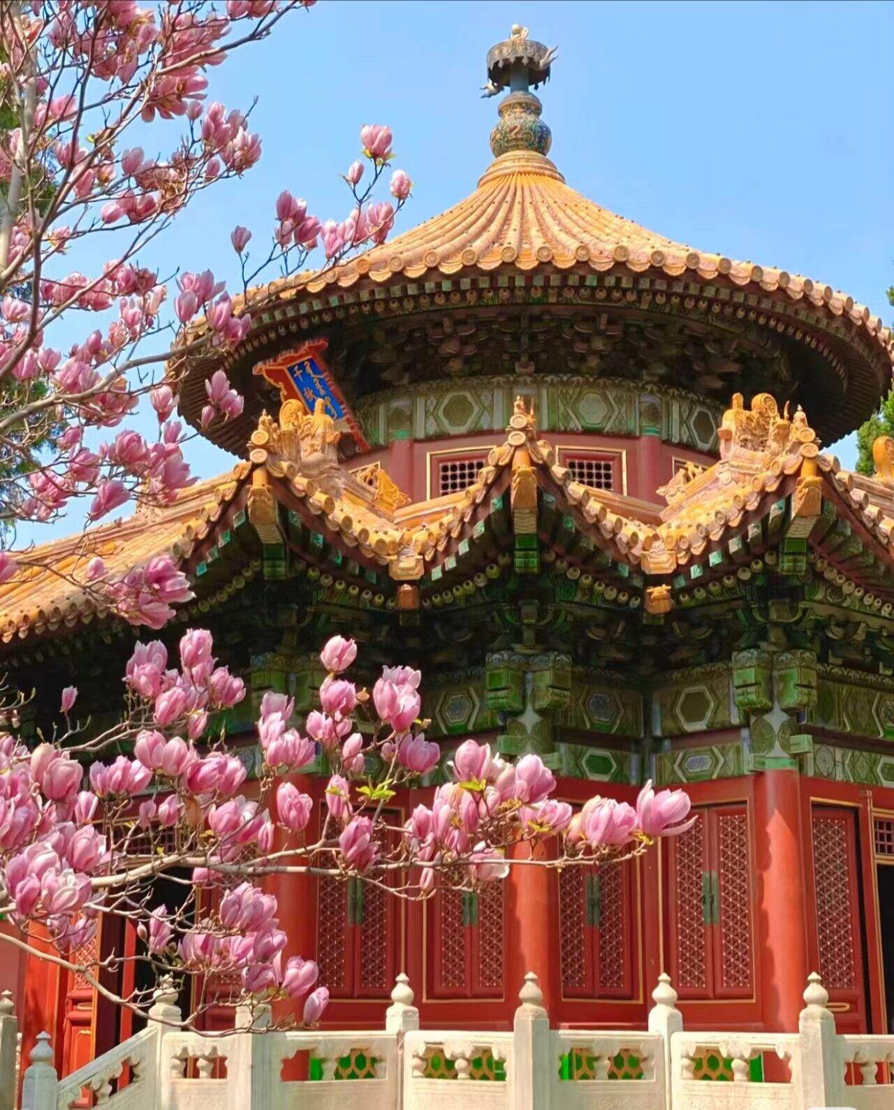 00000000qvleQvspyLjxNocT