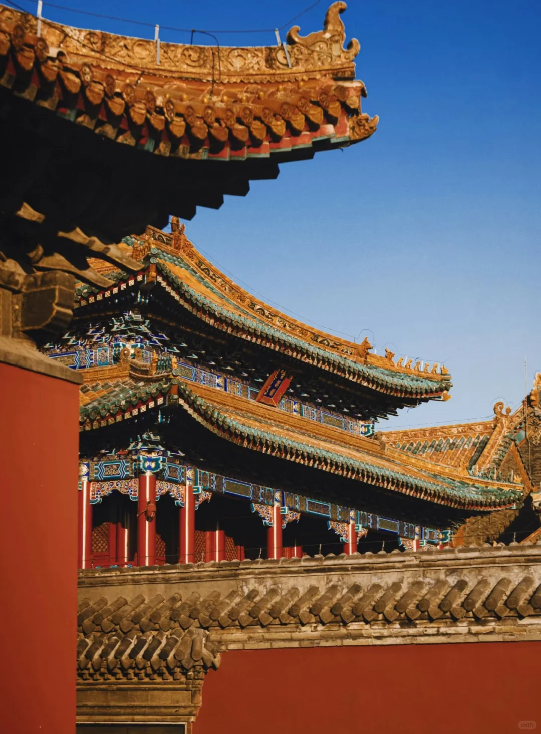 00000000rpMPEjpGEnoGootq