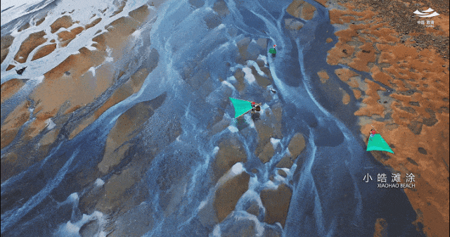 00000000ryanKUgNIiFRqffU