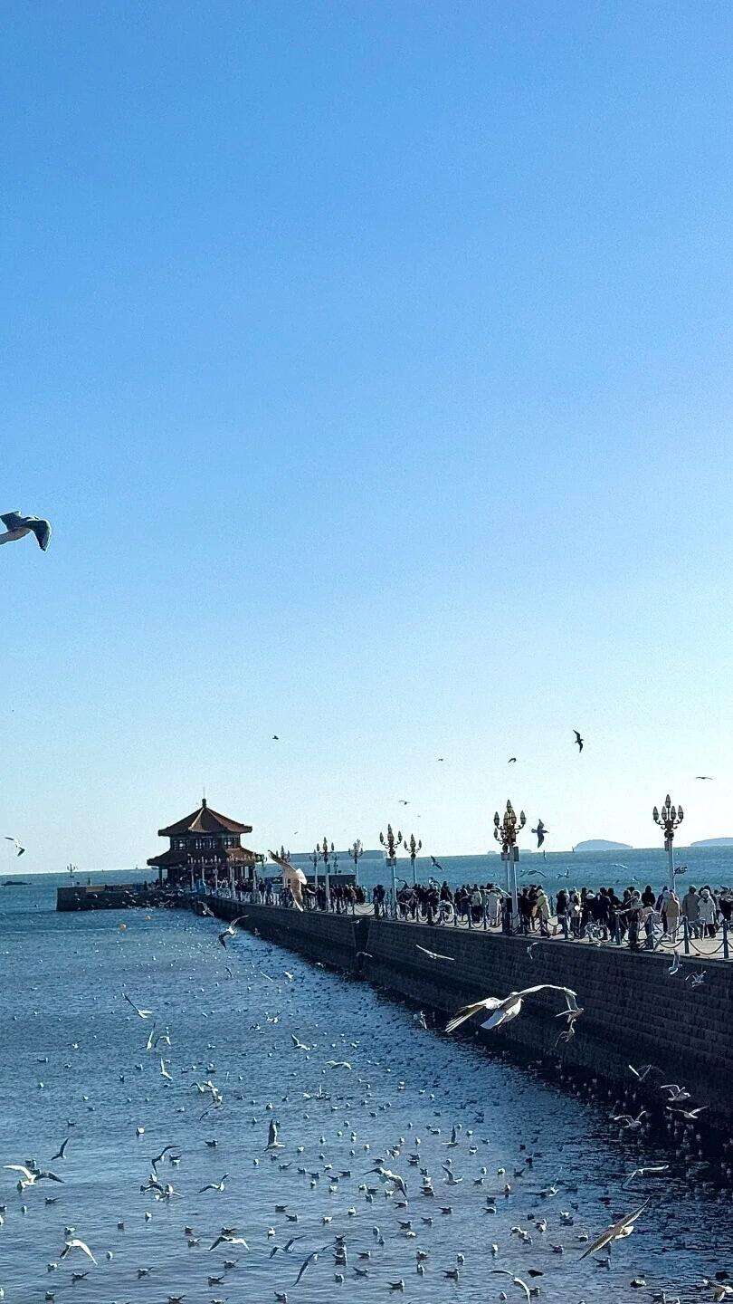 00000000sBJGBuyzazMSYJDU