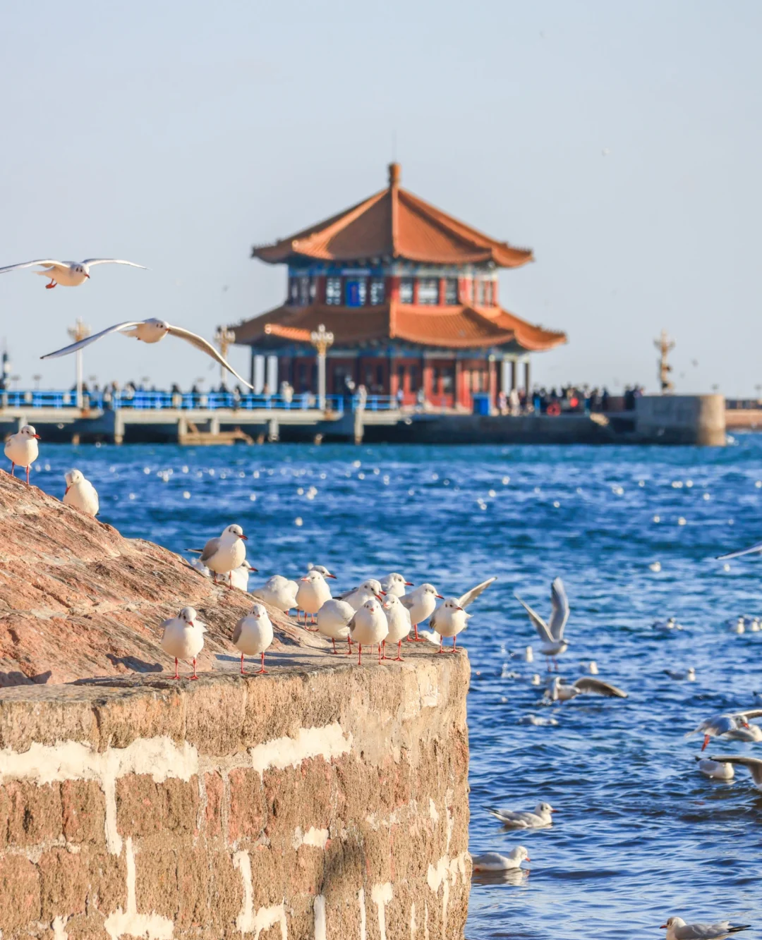 00000000sHvTGqCnjcDGBWLJ