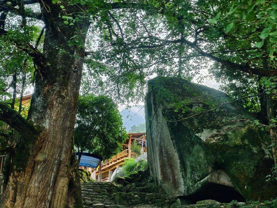 00000000shVuRCduNvssePtL