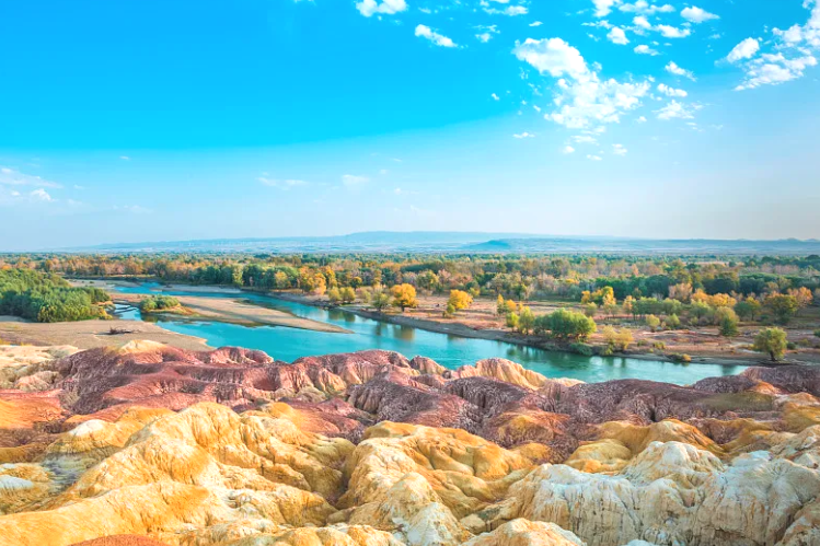 00000000tFqTLyZntFtQeAvj