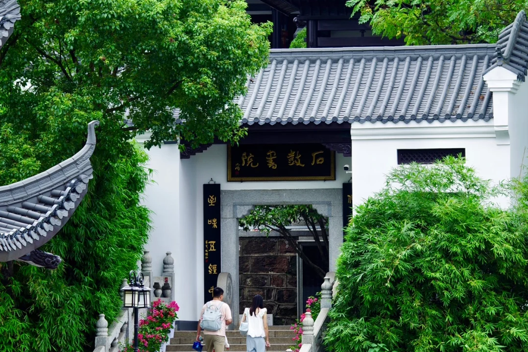 00000000tYfepamZKrNuJuXy