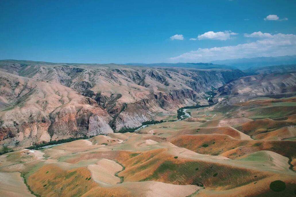 00000000tupyBhipjzBcQYjO