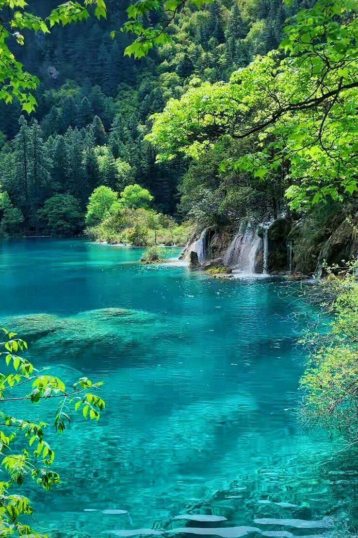 00000000vuZHSVKKHpDLGMKi