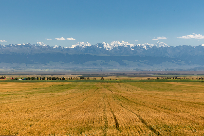 00000000vwRbcuUMiPapilzW