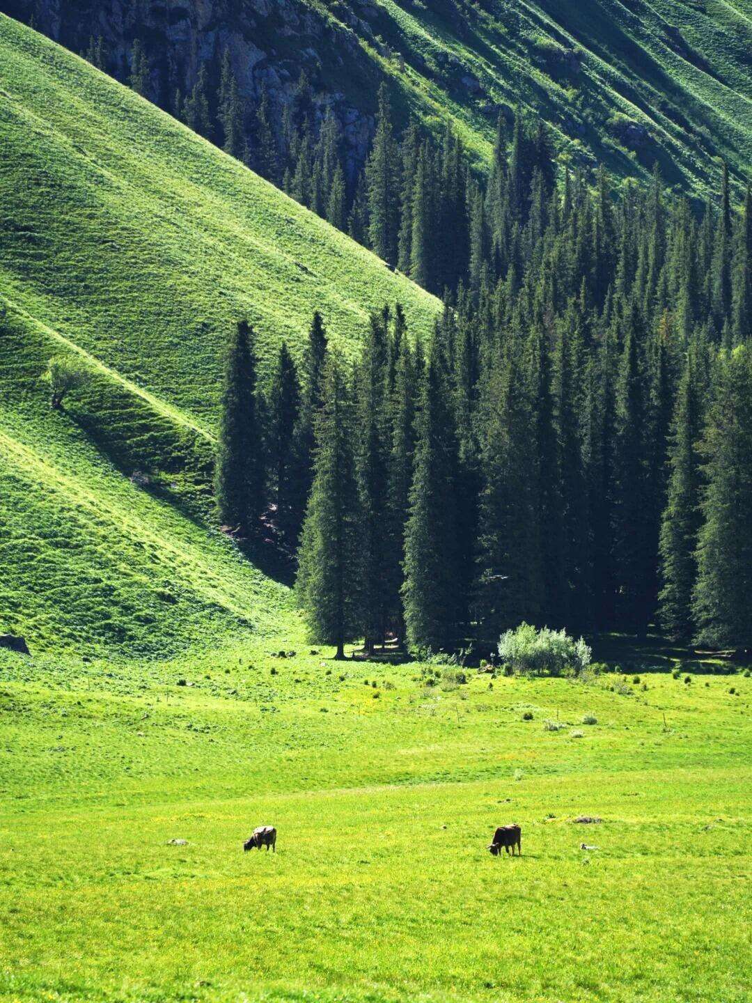 00000000xaeSsjoKsMETBhnP