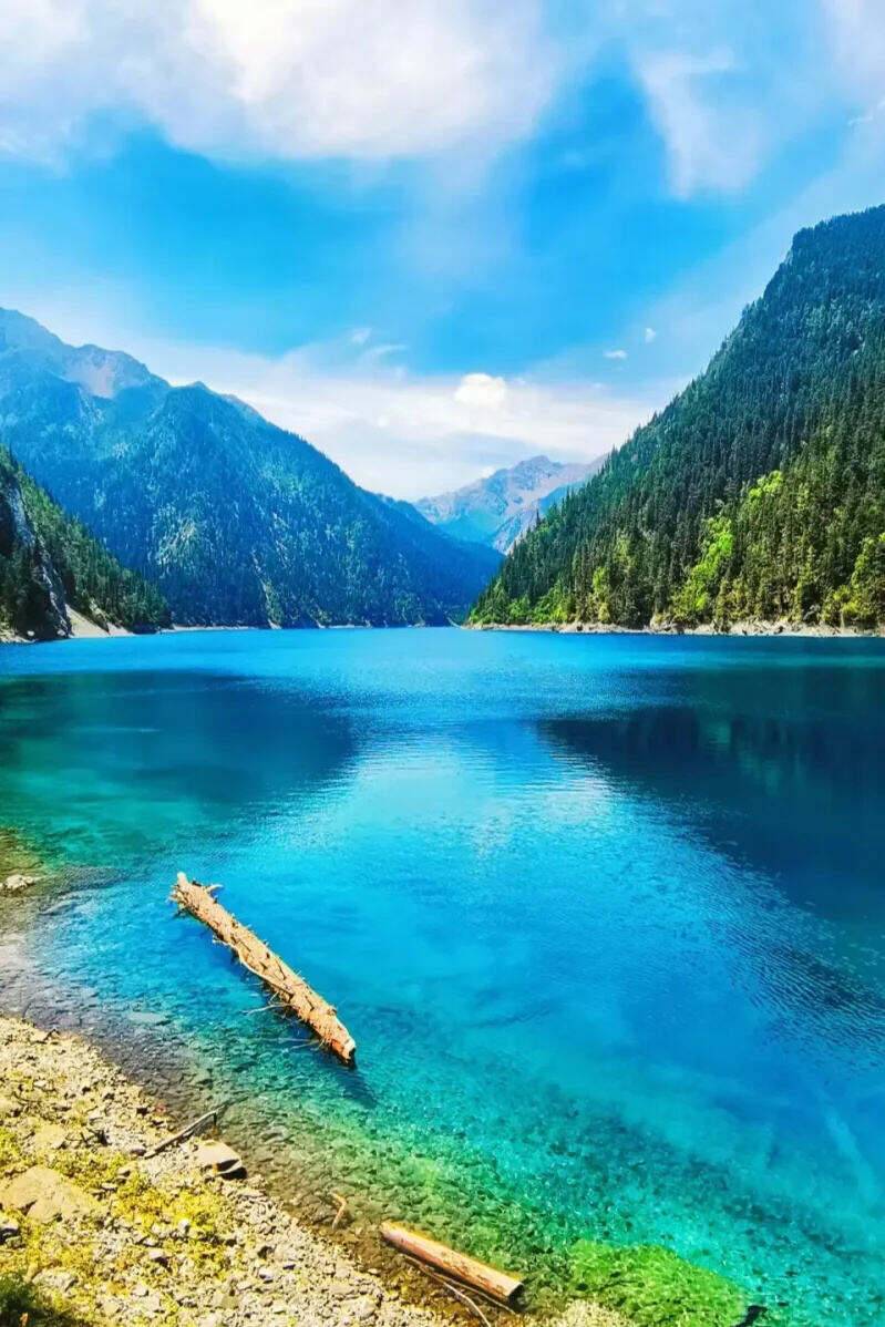 00000000zXXMdUnwYlPyCCiH-1