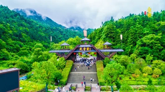 00ad077bb3862b051184701dd7fd921d-sz_452773