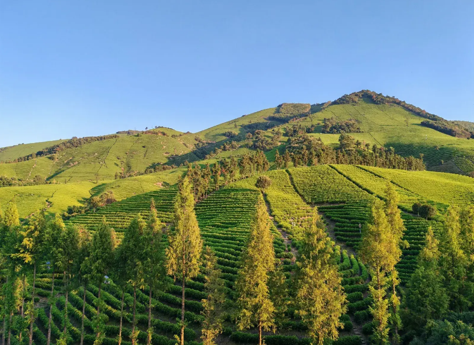 00e6a204341577ec9dfdcc0672cdf68b