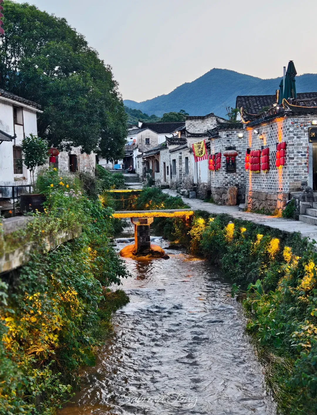 00ea6f2751866209039f1981a7bfb5fd-sz_3110370