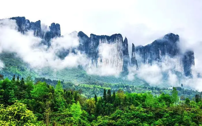 014018f9cb8cb266fe15d4a7ec4cb526-sz_68791